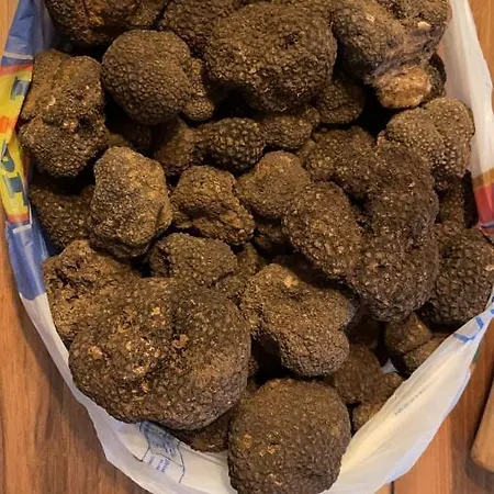 Appartamento Casa Quetti *